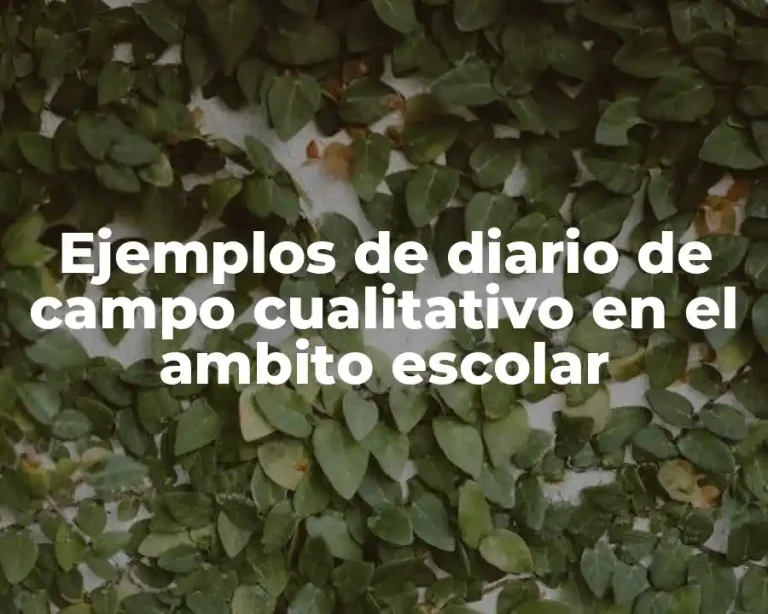 Ejemplos de diario de campo cualitativo en el ambito escolar