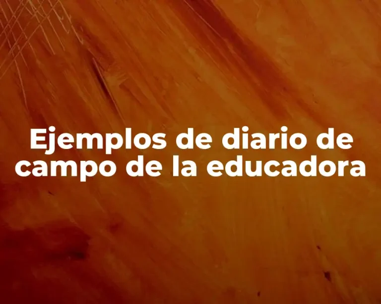 Ejemplos de diario de campo de la educadora