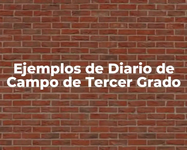 Ejemplos de Diario de Campo de Tercer Grado