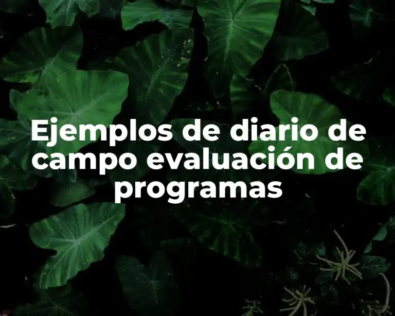 Ejemplos de diario de campo evaluación de programas