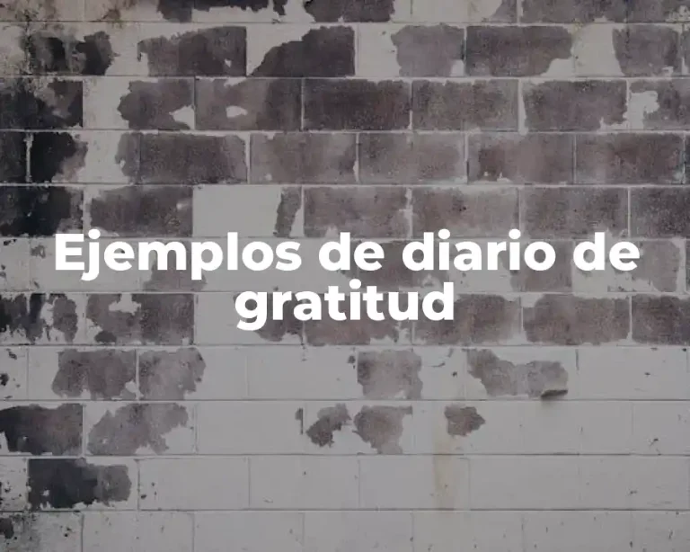 Ejemplos de diario de gratitud