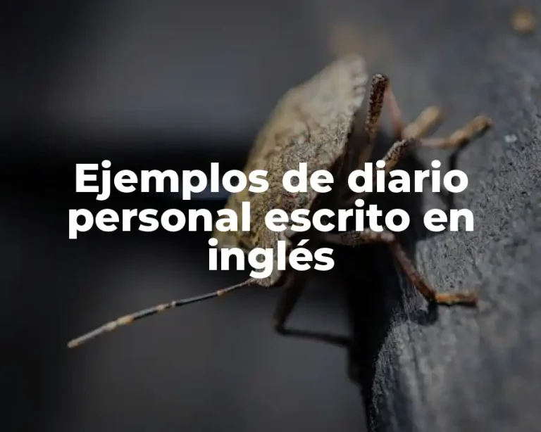 Ejemplos de diario personal escrito en inglés