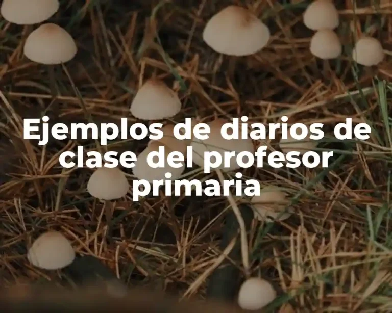 Ejemplos de diarios de clase del profesor primaria
