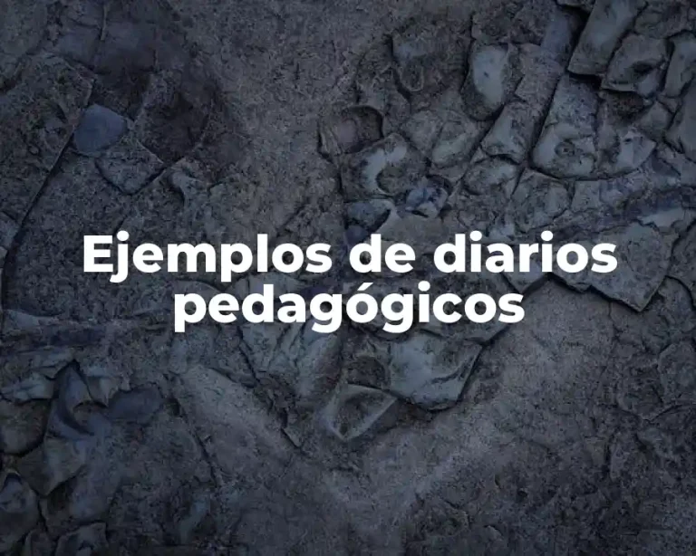 Ejemplos de diarios pedagógicos