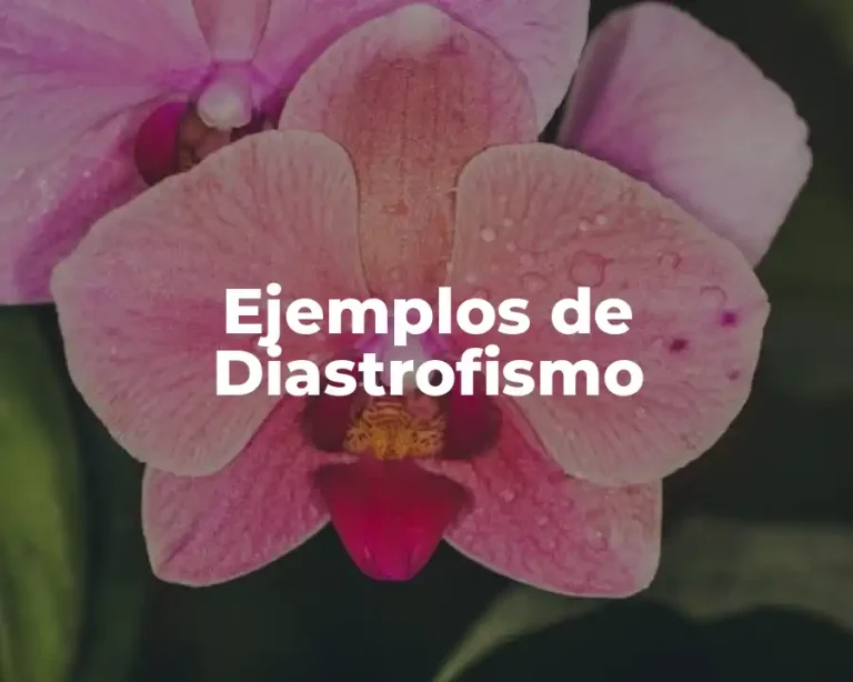 Ejemplos de Diastrofismo