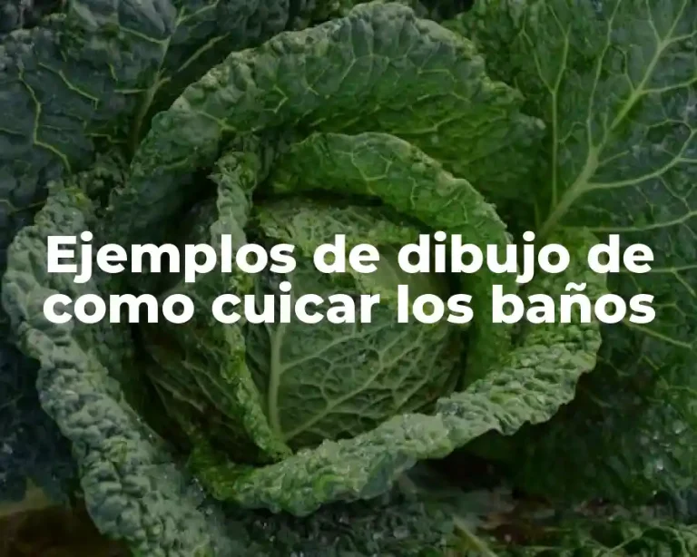 Ejemplos de dibujo de como cuicar los baños