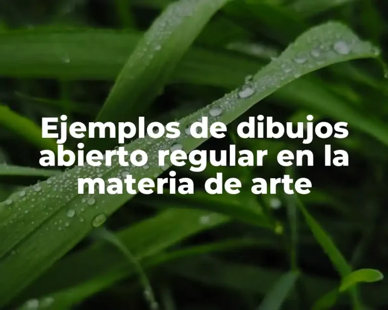 Ejemplos de dibujos abierto regular en la materia de arte