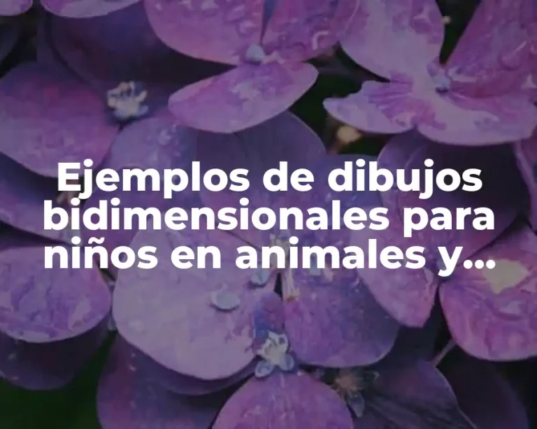 Ejemplos de dibujos bidimensionales para niños en animales y Significado