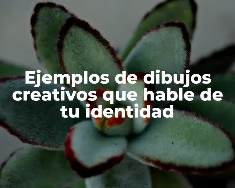 Ejemplos de dibujos creativos que hable de tu identidad