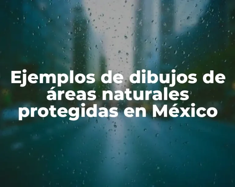 Ejemplos de dibujos de áreas naturales protegidas en México