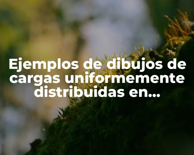 Ejemplos de dibujos de cargas uniformemente distribuidas en arquitectura y Significado