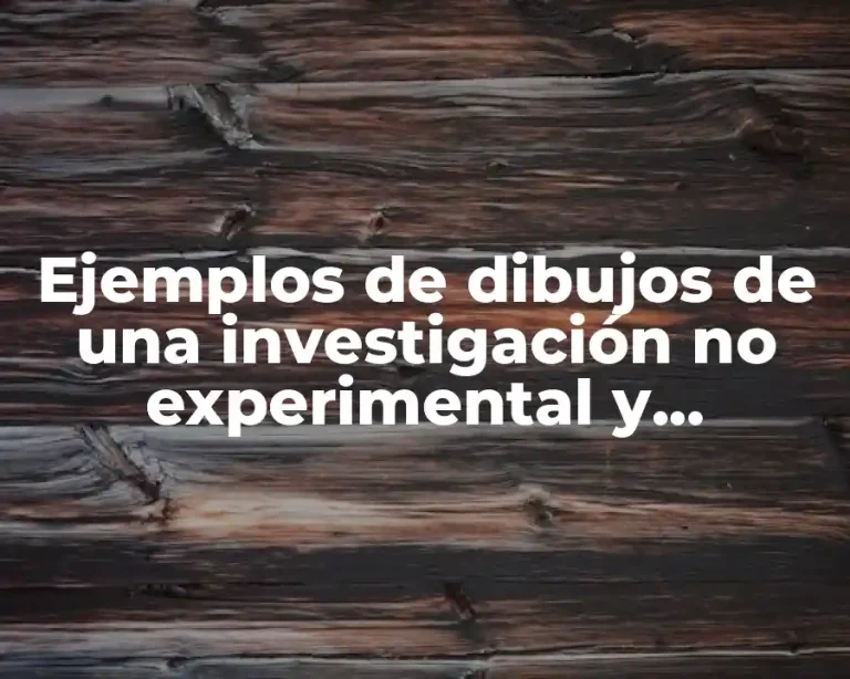 Ejemplos de dibujos de una investigación no experimental y Significado