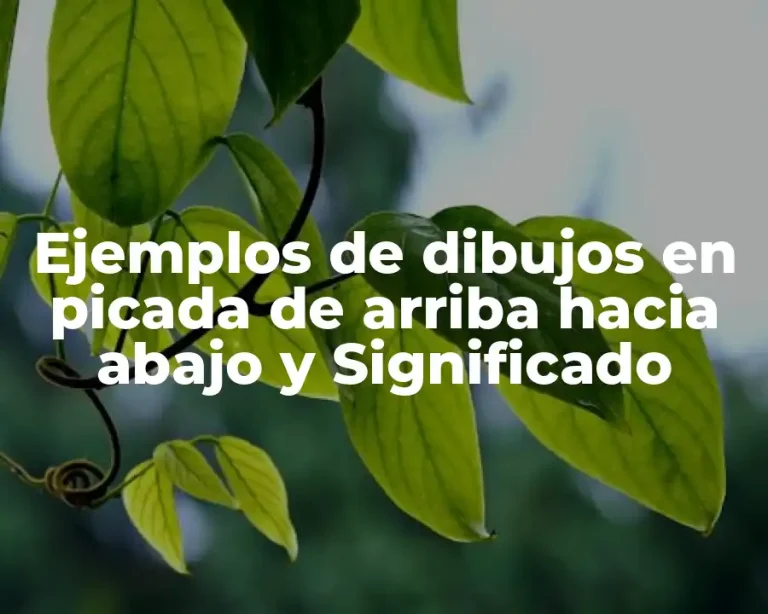 Ejemplos de dibujos en picada de arriba hacia abajo y Significado