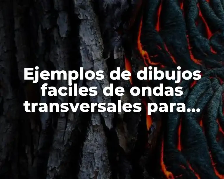 Ejemplos de dibujos faciles de ondas transversales para niños todos y Significado