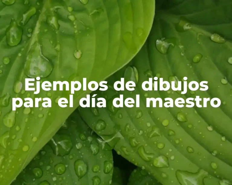 Ejemplos de dibujos para el día del maestro