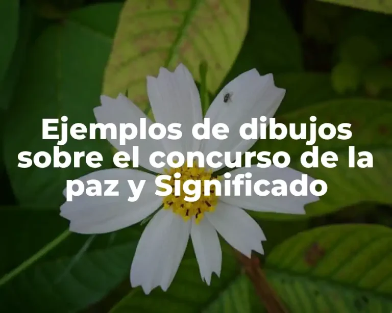 Ejemplos de dibujos sobre el concurso de la paz y Significado