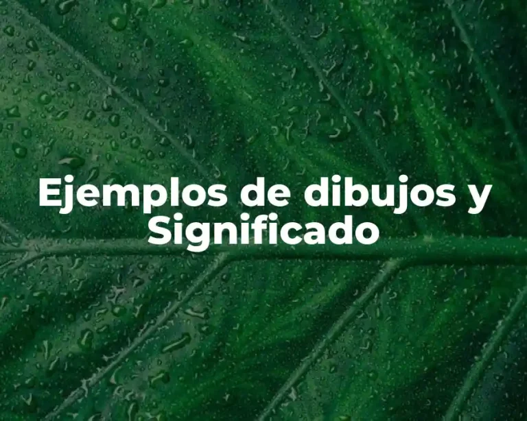 Ejemplos de dibujos y Significado