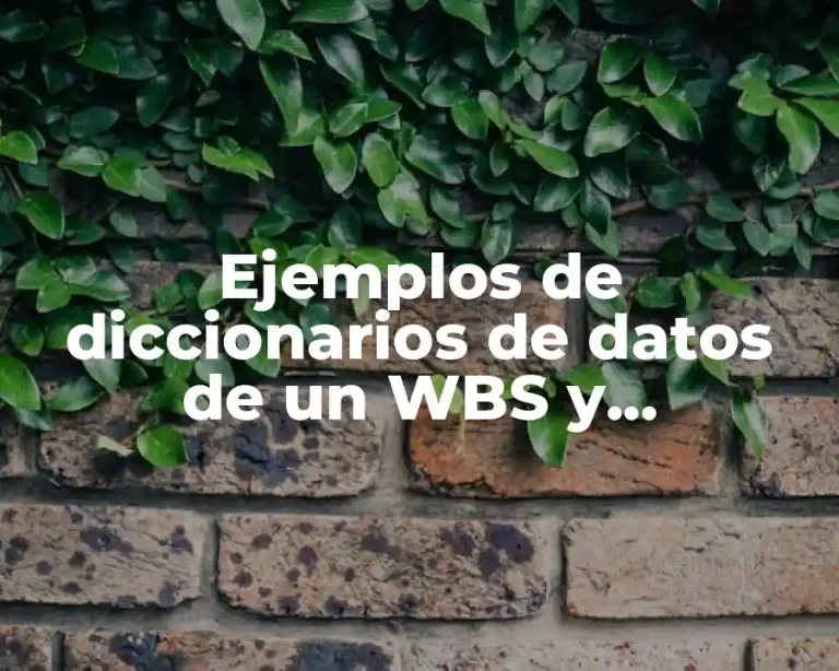 Ejemplos de diccionarios de datos de un WBS y Significado