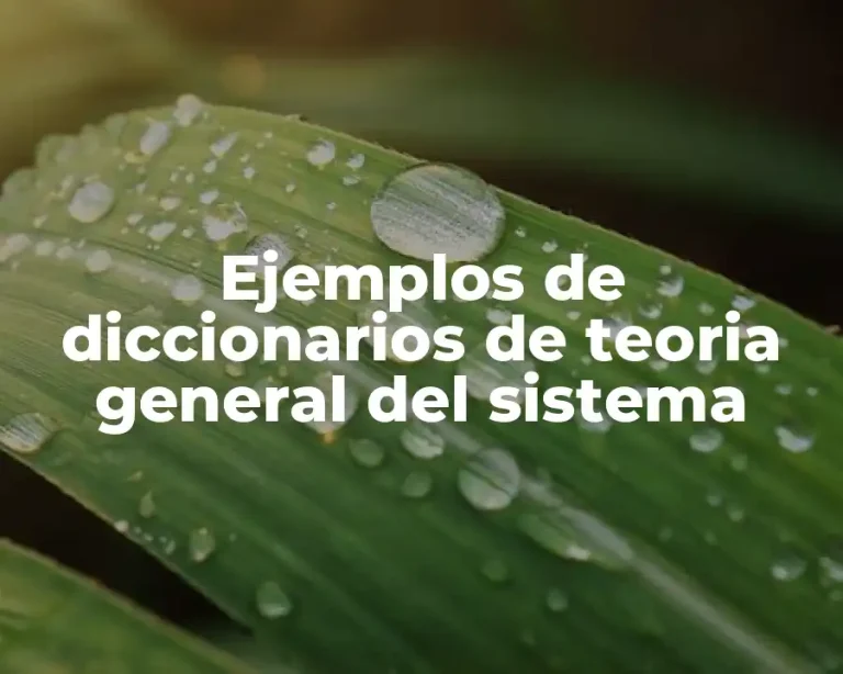 Ejemplos de diccionarios de teoria general del sistema