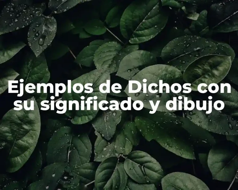 Ejemplos de Dichos con su significado y dibujo