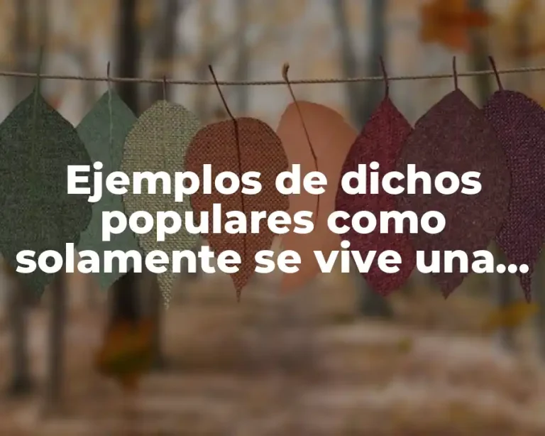 Ejemplos de dichos populares como solamente se vive una vez