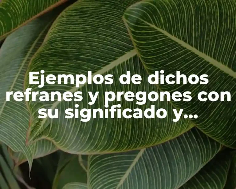 Ejemplos de dichos refranes y pregones con su significado y Significado