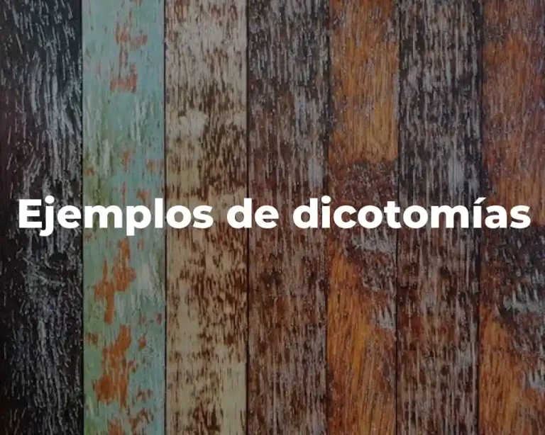 Ejemplos de dicotomías