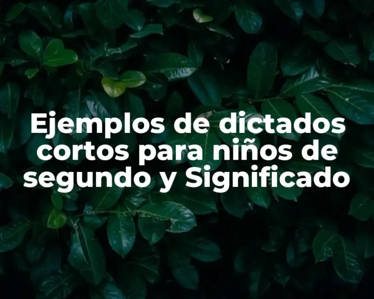 Ejemplos de dictados cortos para niños de segundo y Significado