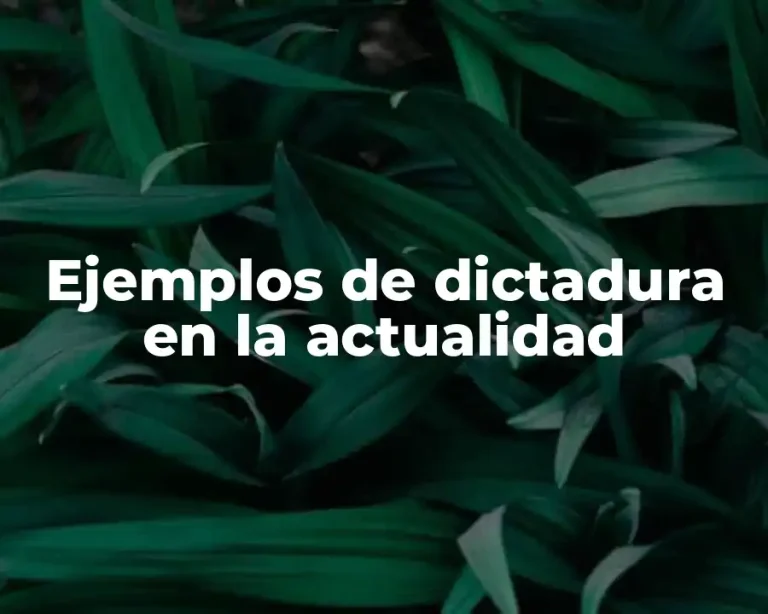 Ejemplos de dictadura en la actualidad
