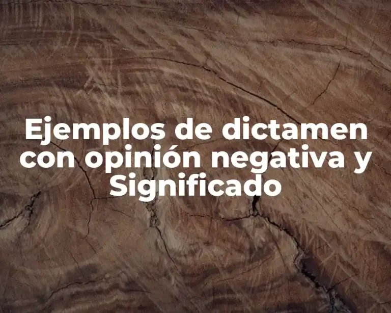 Ejemplos de dictamen con opinión negativa y Significado