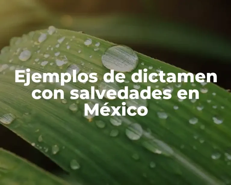 Ejemplos de dictamen con salvedades en México