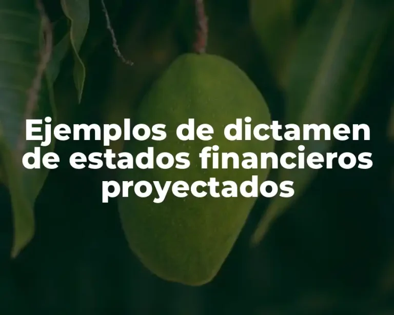 Ejemplos de dictamen de estados financieros proyectados