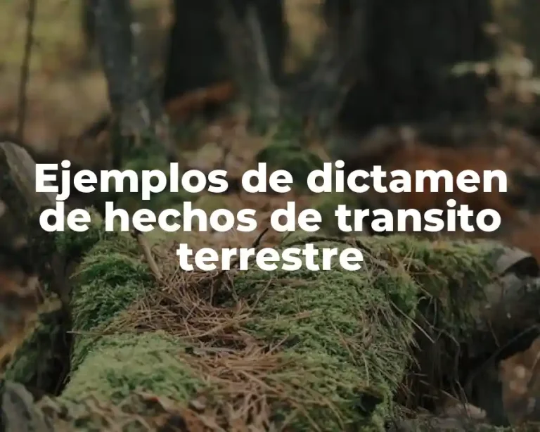 Ejemplos de dictamen de hechos de transito terrestre