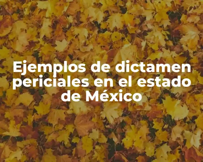 Ejemplos de dictamen periciales en el estado de México