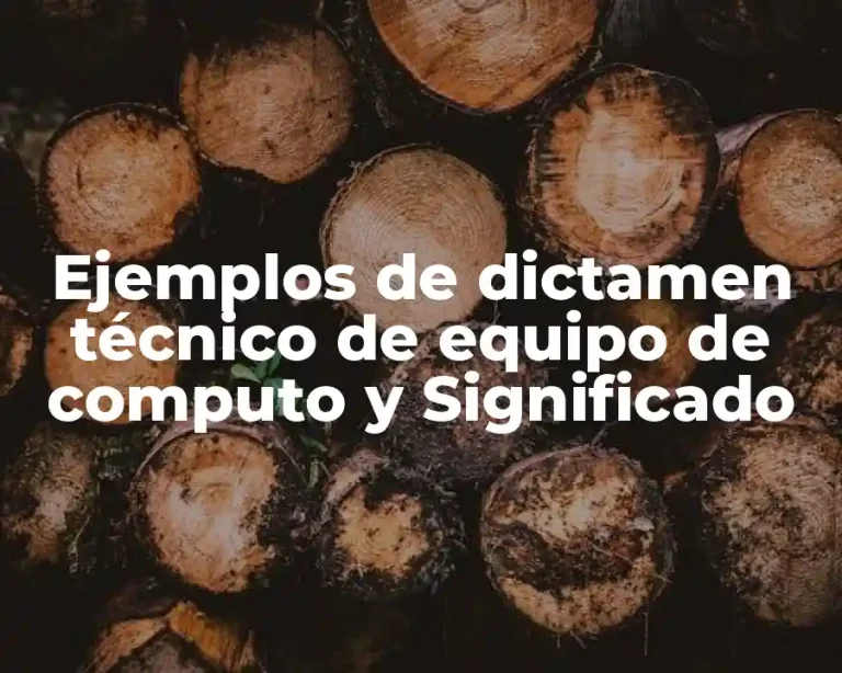 Ejemplos de dictamen técnico de equipo de computo y Significado
