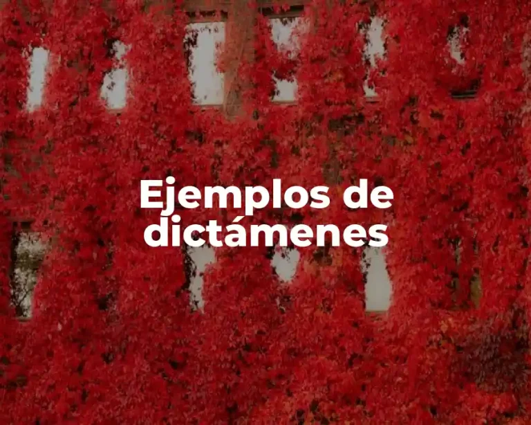 Ejemplos de dictámenes