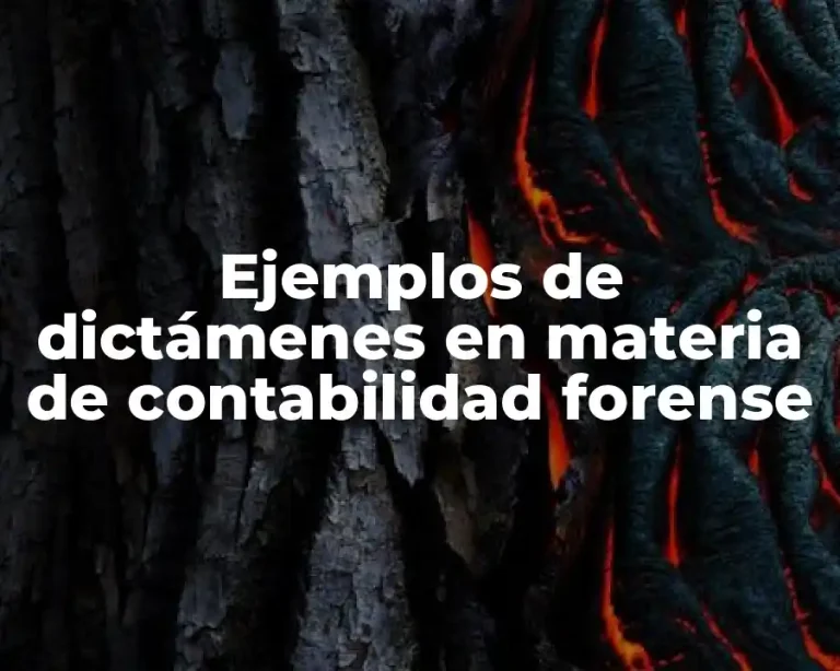 Ejemplos de dictámenes en materia de contabilidad forense
