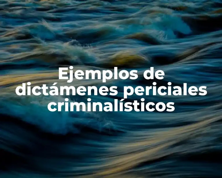 Ejemplos de dictámenes periciales criminalísticos