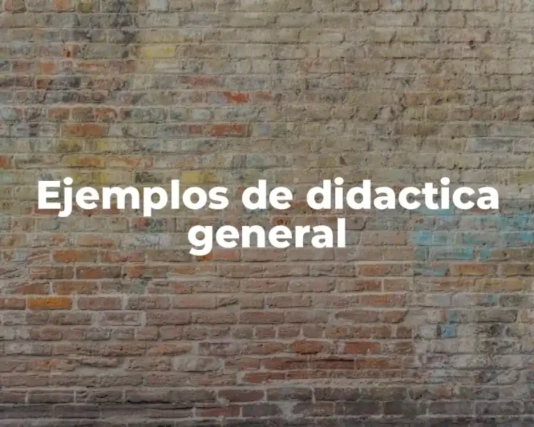 Ejemplos de didactica general