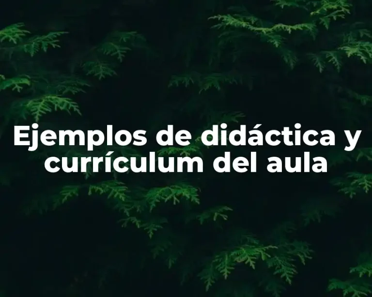 Ejemplos de didáctica y currículum del aula