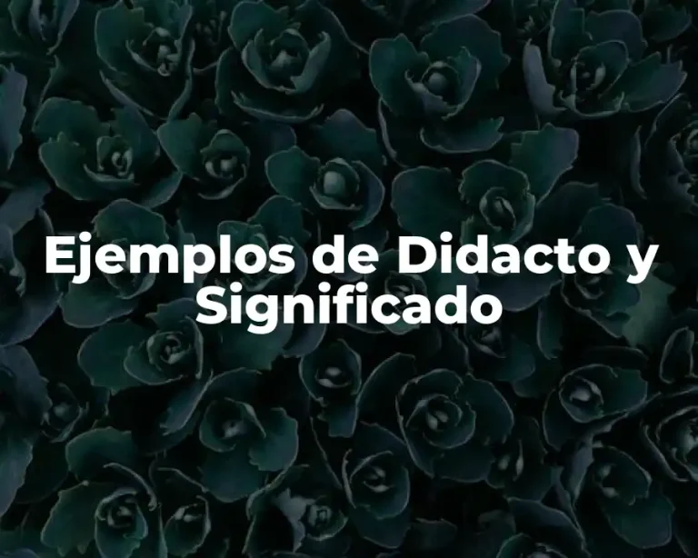 Ejemplos de Didacto y Significado