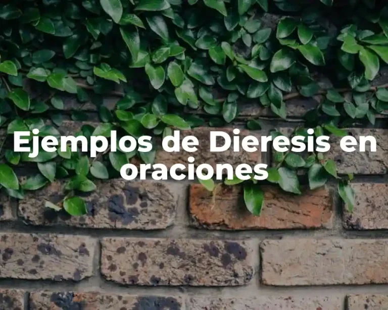 Ejemplos de Dieresis en oraciones