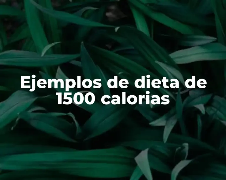 Ejemplos de dieta de 1500 calorias