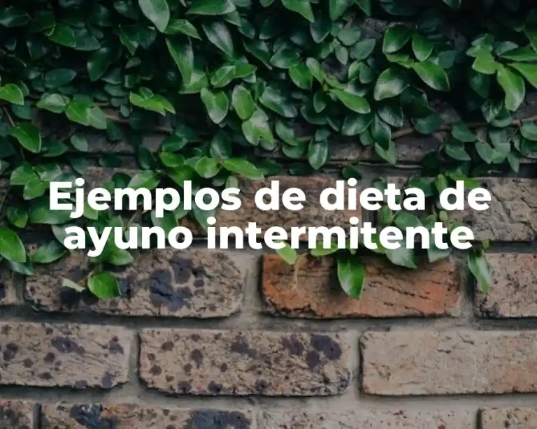 Ejemplos de dieta de ayuno intermitente