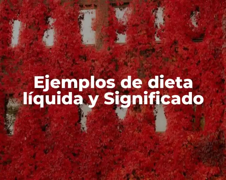 Ejemplos de dieta líquida y Significado