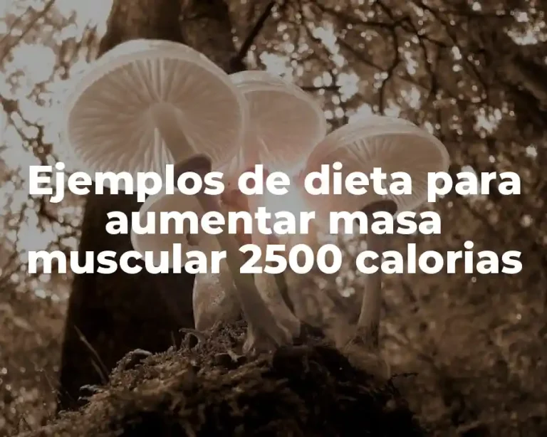 Ejemplos de dieta para aumentar masa muscular 2500 calorias