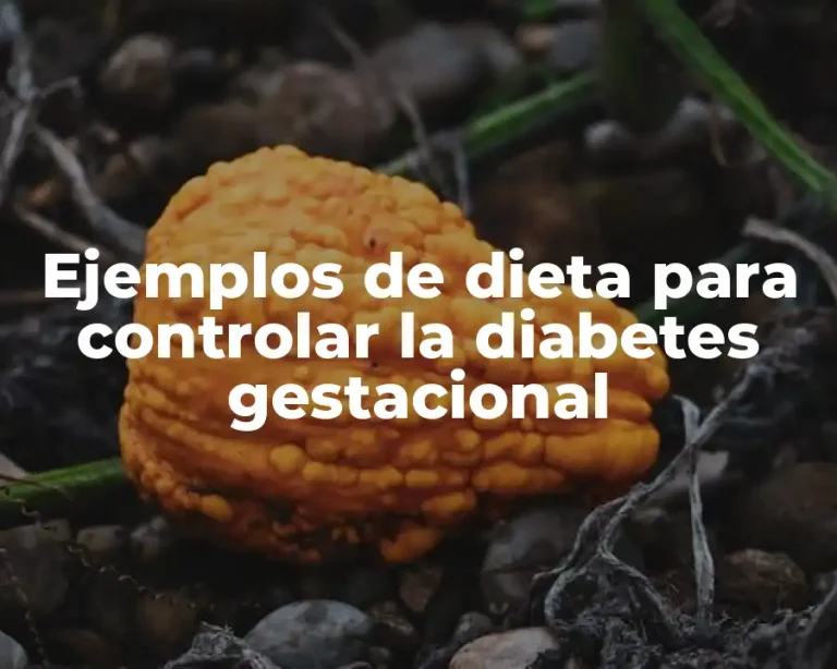 Ejemplos de dieta para controlar la diabetes gestacional