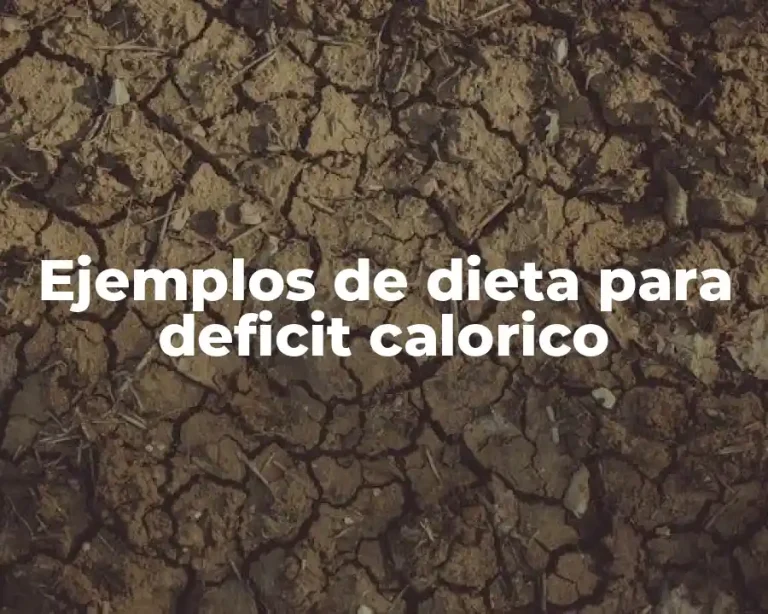 Ejemplos de dieta para deficit calorico