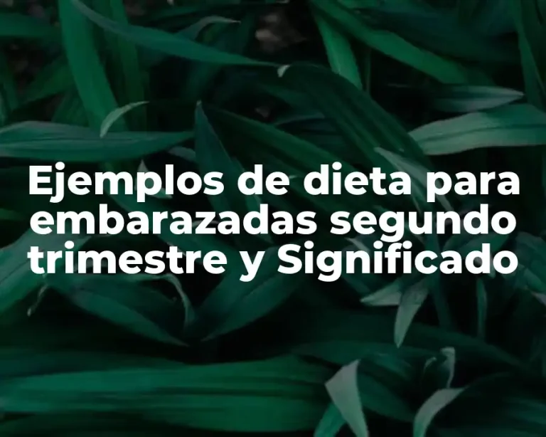 Ejemplos de dieta para embarazadas segundo trimestre y Significado