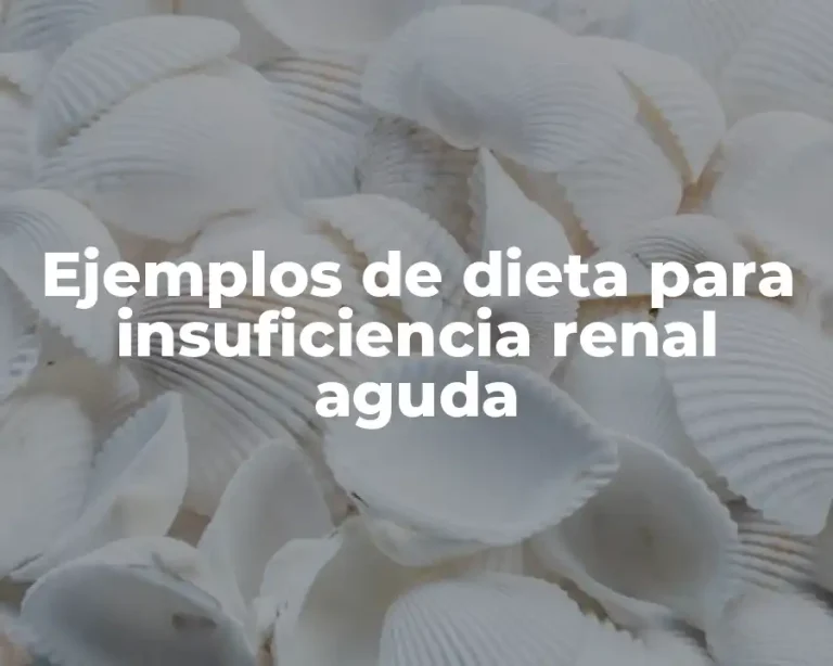 Ejemplos de dieta para insuficiencia renal aguda